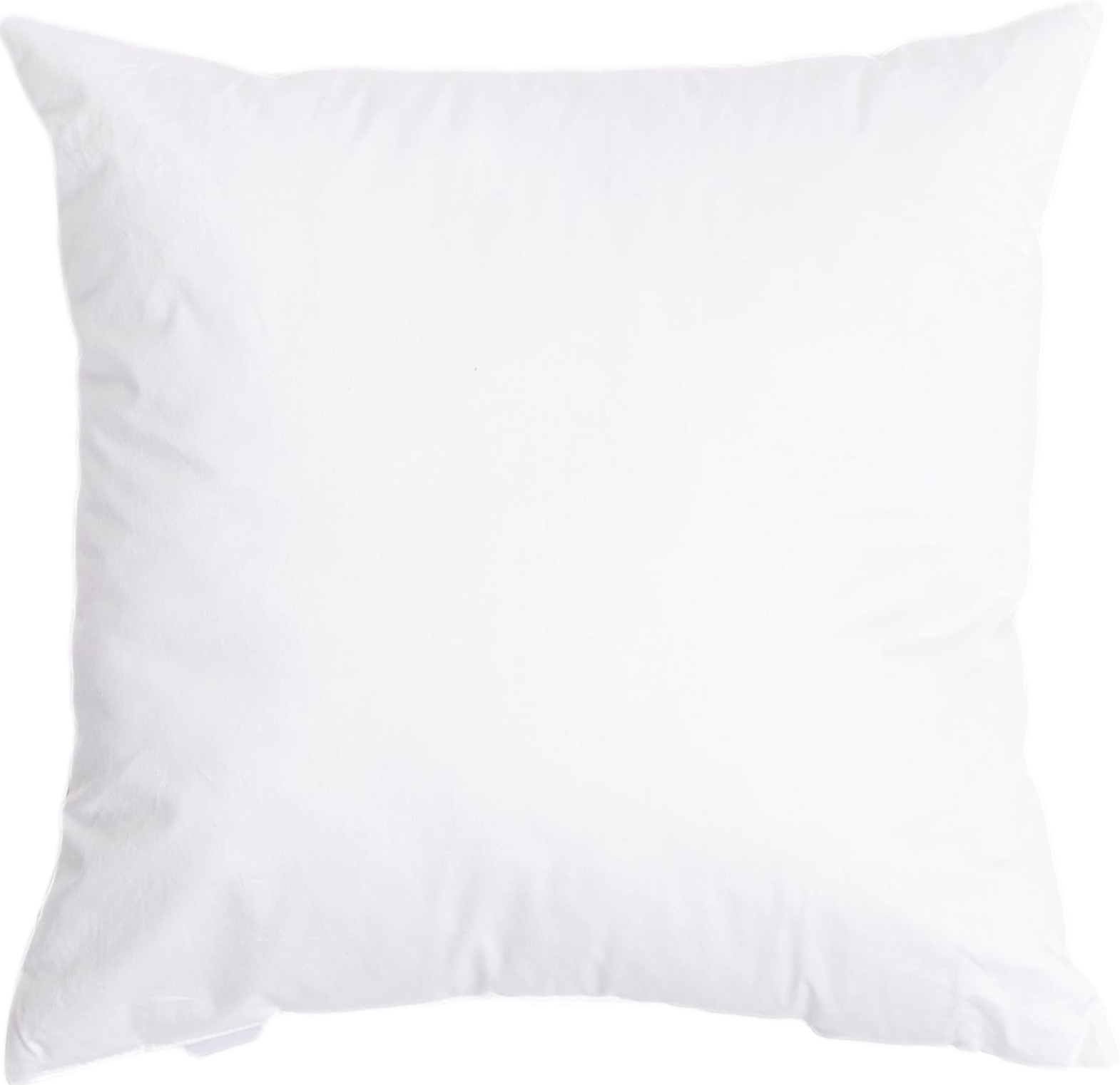 Rejuvenation Feather Pillow Insert