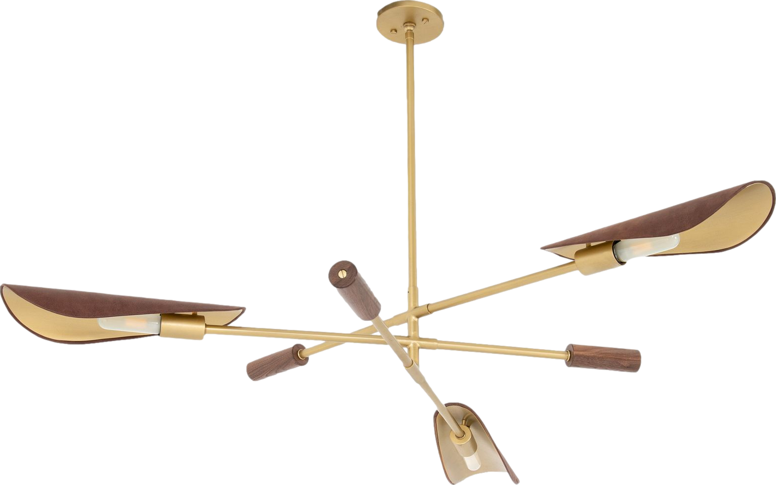 Canlish Leather Chandelier