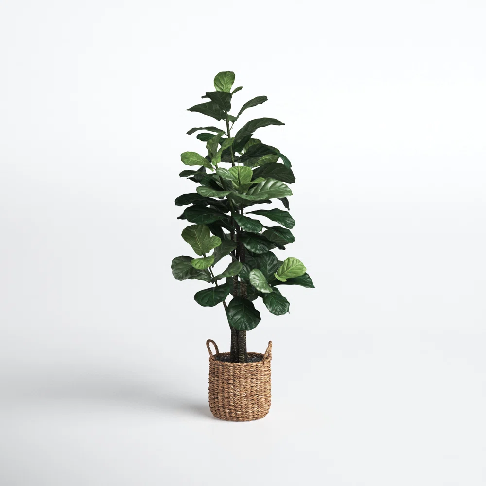 66'' Faux Fiddle Leaf Fig Tree in Wicker/Rattan Basket