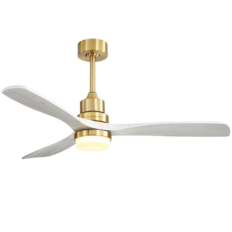 Kemp 52'' Ceiling Fan with LED Lights