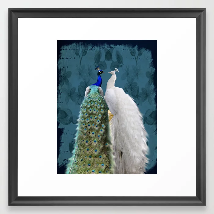 White Peacock and Blue Peacock Bird A732 Framed Art Print, Scoop Black