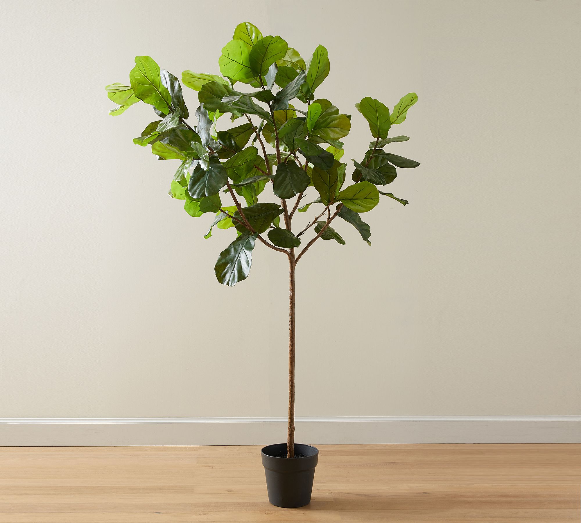 Faux Fiddle Leaf Fig Trees