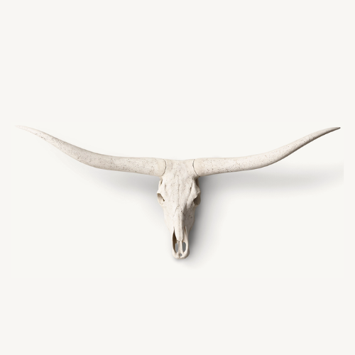 Texas Longhorn Steer Skull - Stone
