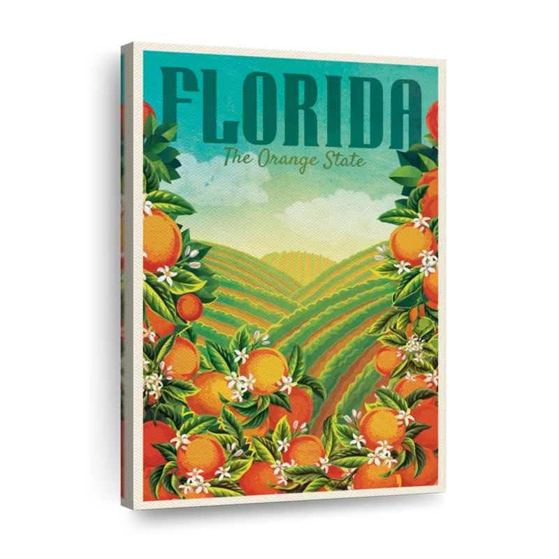 Florida The Orange State by Jason C